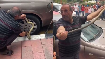 Görenler hayret etti! Arabanın jantındaki 1 metre yılanı korkusuzca çıkardı - gundem