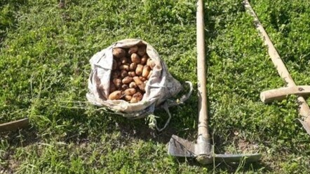 Salep soğanı toplayan şahıslara 387 bin 141 lira ceza kesildi - saglik