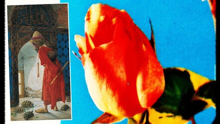 Kaplumbağa Terbiyecisi ilham verdi! Pera Müzesinde 20 sanatçı buluştu - yasam