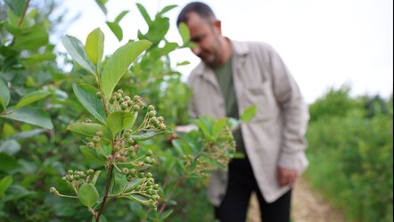 Kanser olan eşinin tedavi yöntemi hayatını değiştirdi! İş sahibi oldu, kilosunu 750 TL'den satıyor - saglik