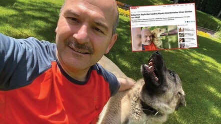 OdaTV'nin Süleyman Soylu hakkında yaptığı habere yalanlama! Sahipsiz köpekler hakkında konuştu mu? - gundem