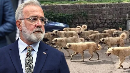 AK Partili Yenişehirlioğlu'ndan, 