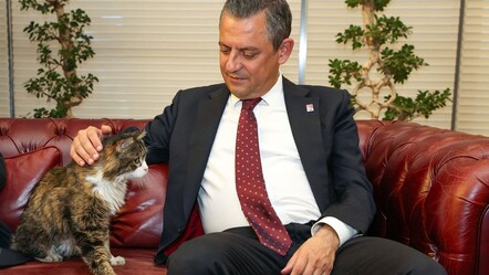Özgür Özel paylaştı: CHP'nin meşhur kedisi Şero sağlığına kavuştu - yasam