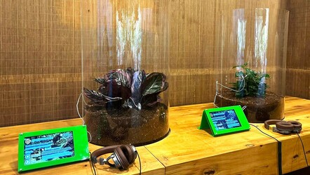 Amazon Bitkilerinin Melodileri İstanbul Akvaryum'da! - dunya