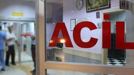 Tarım işçisinin üzerine yıldırım düştü - ekonomi