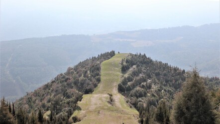 Manisa’da ormanlara giriş yasağı başladı - yasam