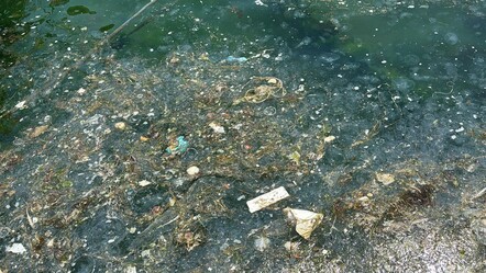 Sarıyer sahili müsilajdan geçilmiyor! Vatandaşı çileden çıkaran kirlilik, kimsenin umurunda değil - gundem