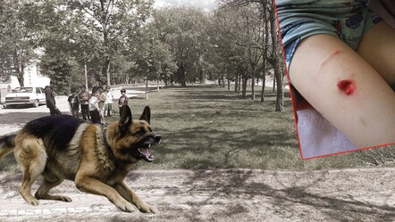 Başıboş köpeklere yem oluyordu! 13 yaşındaki çocuk canını zor kurtardı - gundem