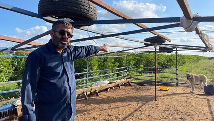 Kurbanlık hırsızlarının yöntemi 