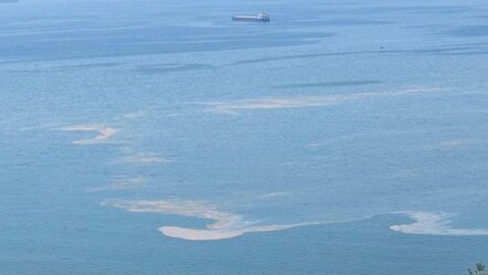 Marmara'da müsilaj endişesi! Büyükçekmece'nin ardından Gemlik'te korkutan görüntü - gundem