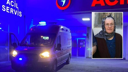 Fark etmeyip üzerine bastığı yılan yaşlı kadının sonu oldu! - gundem