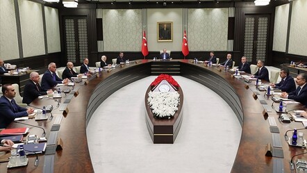 Kabine’nin gündemi başıboş köpekler, yarın toplanıyor... - dunya