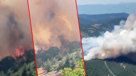 Bursa Orhaneli'de orman yangını! 3,5 saat sonra kısmen kontrol altına alındı - gundem