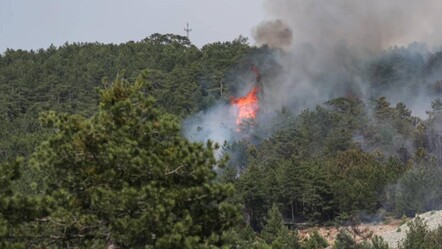 Bursa'daki yangına ilişkin son gelişme: Vali kaç hektarın yandığını açıkladı - gundem
