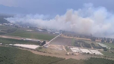 Bursa'dan sonra Antalya! Orman yangını kontrol altına alındı - gundem