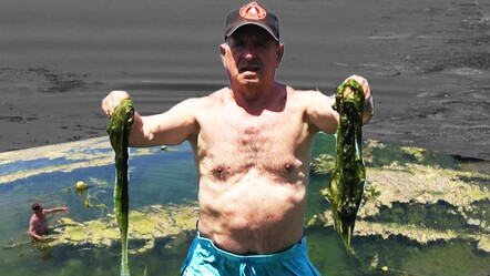 Marmara'nın İncisi olarak bilinen Çınarcık'ta skandal görüntüler: Denize lağım suyu akıyor - gundem