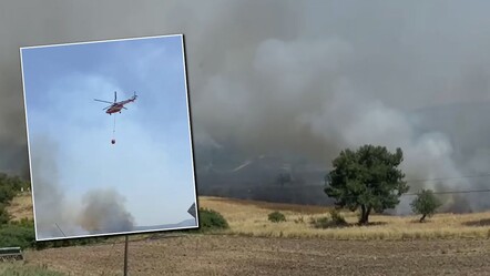 Çanakkale'de korkutan anlar! İşte ormana sıçrayan yangının bilançosu - gundem