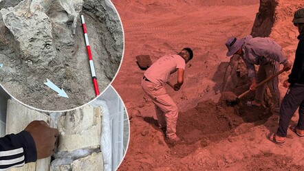 Kırgızistan'daki taş ocağında 4 bin yıllık dev mamut kemikleri bulundu - dunya