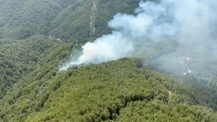Antalya'da bir orman yangın daha! Ekipler müdahale ediyor... İlk görüntüler geldi - gundem