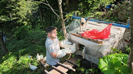 Tavuklarını ayılardan koruyabilmek için 25 metre yükseklikte kümes yaptı - yasam