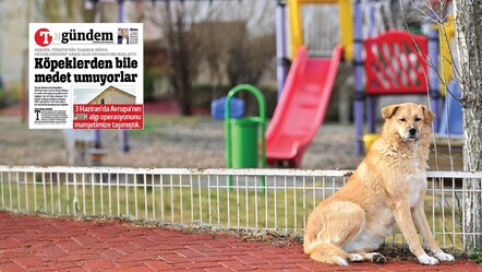 ‘Uyutan’ İngiliz akıl verdi! İngiliz medyası 'Başıboş Köpekler Yasası’nı kaşıyor - yasam