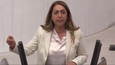 DEM Partili Saliha Aydeniz'in TBMM'deki