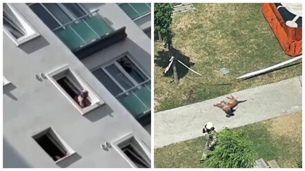 Emekli polis dehşet saçtı! Rehin aldı, intihara kalkıştı, polis köpeğini camdan attı - gundem