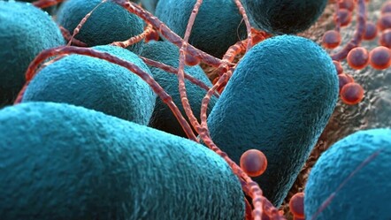 Yeni salgın kapıda! Kaynağı tespit edilemedi, vaka sayısı pik yapabilir - saglik