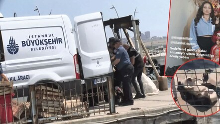 4 gündür kayıp olan Sedef Güler bulundu! Dehşet cinayette korkunç detay - gundem