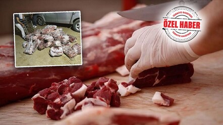 Bu düpedüz hınzırlık! At etinden sonra şimdi de yaban domuzu - dunya