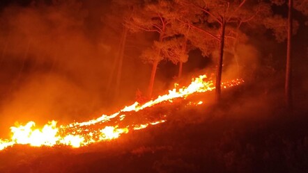 Mersin'de 10 dönümlük ormanlık alan yangında küle döndü - gundem