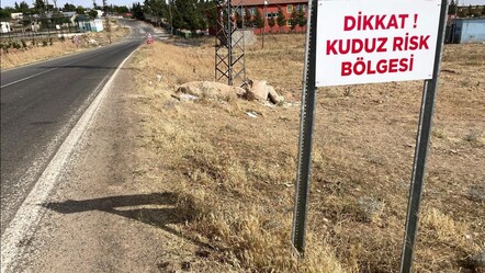 Şanlıurfa'da iki mahallede kuduz paniği: Batıkent ve Payamlı karantinada - gundem