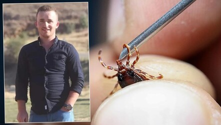 Bir kentte kabus büyüyor! Keneden ölenlerin sayısı 2'ye yükseldi - gundem