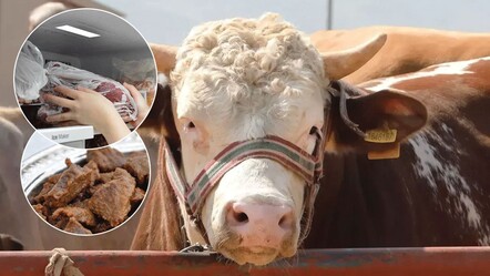 Kurban Bayramı öncesi önemli uyarı!