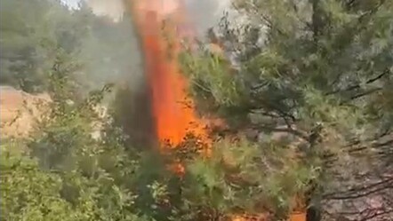 Tokat'ta korkutan orman yangını! Ekipler seferber oldu - gundem