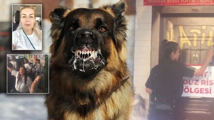 Şanlıurfa'da kuduz köpek vakası! Buket Özgünlü tutuklanmıştı, 4 kişi hakkında daha kararı çıktı - gundem