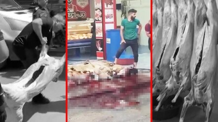 Adana'da tepki çeken görüntüler! Bakanlık harekete geçti ve o işletme kapatıldı! - yasam