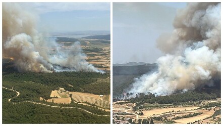 Çanakkale'de ormanlık alanda yangın - dunya