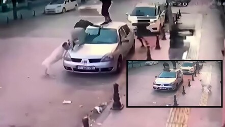 Köpek korkusuyla otomobile çıktılar! İki genç saldırıdan böyle kurtuldu - gundem