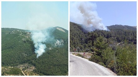 Muğla Milas'ta orman yangını! 2 hektar alan zarar gördü - gundem