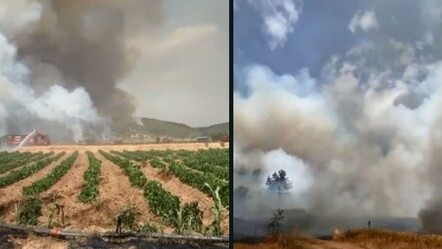 Çanakkale'nin Eceabat ilçesinde çıkan orman yangınında söndürme çalışmaları devam ediyor - gundem