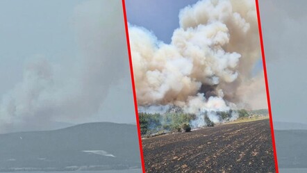 Çanakkele'de ormanlık alanda yangın! Ekipler seferber oldu - gundem