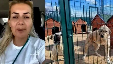Köpekler bahane zenginlik şahane! Buket Özgünlü'nün kasiyerlikten patronluğa uzanışı... - gundem