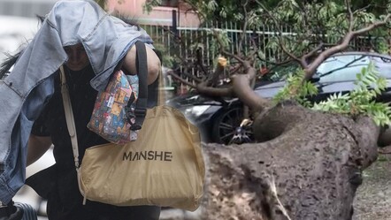 Ankara sağanak ve doluya teslim! Ağaç, otomobilin üzerine devrildi - gundem