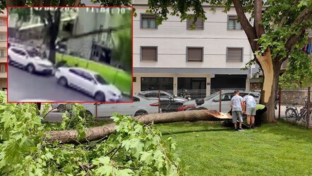 Cuma namazında cemaatin üzerine ağaç devrildi - gundem