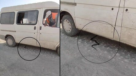 Önce kovaladı, sonra babasının başına bela etti! Hatay'da yılan paniği kamerada... - gundem