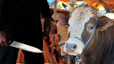 Kurban keserken kalp krizi geçirdi, elindeki bıçağın üzerine düşerek can verdi  - dunya