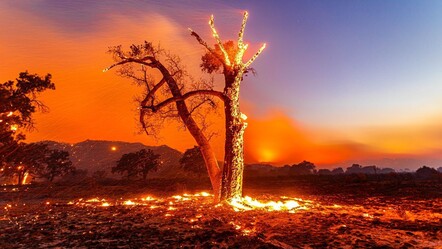 Yangınların büyüdüğü Los Angeles'ta 1200 kişi tahliye edilerek kırmızı alarm verildi - gundem