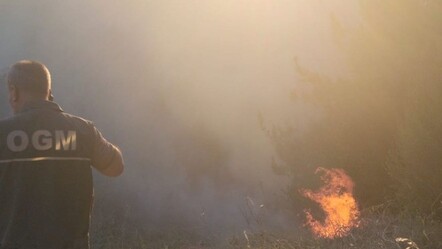 Balıkesir Susurluk'ta orman yangını! Alevler kontrol altında - gundem