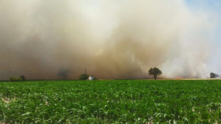 Eceabat'ta alevler 24 saatte kontrol altına alınmıştı! Çanakkale'de çıkan bir yangın daha kontrol altında - gundem